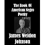 The Book of American Negro Poetry [Illustrated] by James Weldon Johnson