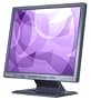 BenQ FP731 17" LCD Monitor (Black)