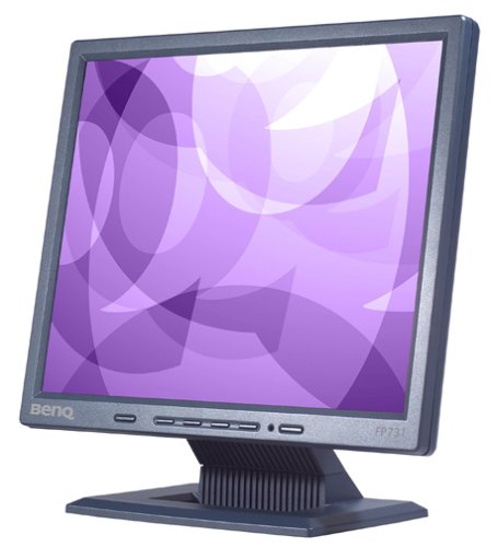 BenQ FP731 17 LCD Monitor (Black)
