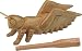 Nino Guiro Grasshopper, Natural