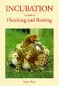 Incubation