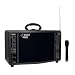 Pyle PWM-A3600 200-Watt Battery Powered PA System with Wireless Mic