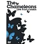 The Chameleons - Live From London [DVD]