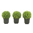 Set of 3 Springeri Ball Set In Square Ceramic