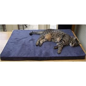 ExtraComfort Orthopaedic Restore� Memory Foam Cat Bed In Faux Suede Gun Metal Grey 50x40x5 cm (29.5x24x2 inches)