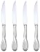 Kitchen & Housewares : Oneida Satin Aquarius Steak Knife Set, Set of 4