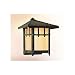 Asian Oak Knoll Outdoor Lighting BY Troy Lighting
