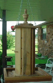 Bird Feeder - Sunflower Seed Feeder