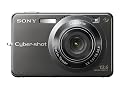 Sony DSC-W300 Titanium-Coated Digital Camera - Black (13.6MP, 3x Optical Zoom) 2.7" LCD