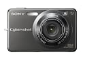 Sony DSCW300