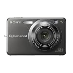 Sony DSC-W300 Titanium Coated Digital Camera (13.6MP) 2.7