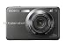 Sony DSC-W300 Titanium-Coated Digital Camera (13.6MP) 2.7" LCD