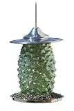 Bird Brain Pine Cone Bird Feeder, Green