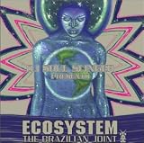 Revue DJ Soul Slinger  / Ecosystem: The Brazilian Joint