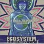 Ecosystem: The Brazilian Joint