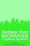 Methane from Biomass: A Systems Approach