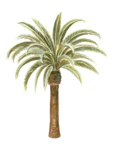 red brick wallpaper. Dark Red Textured Brick