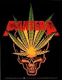 Pantera - Skull Logo with Pot Leaf on Black - Sticker / Decal