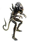 Movie Masterpiece エイリアン2 エイリアン・ウォーリアー ブラウン・バージョン (1/6スケールモデル)
