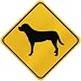 ONLY  GREATER SWISS MOUNTAIN DOG  CROSSING SIGN DOG