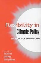 Flexibility in Global Climate Policy: Beyond Joint Implementation