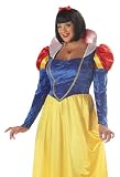 Snow White Fairytale Holiday Party Costume(2X (16-18)-Blue/Yellow)