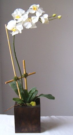 Silk Flower Arrangement – Phalaenopsis Orchid in Wooden Box