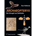 ARCHAEOPTERYX: Der Urvogel von Solnhofen