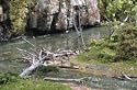 Deadfall