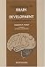 Book Understanding the Brain and Its Development: A Chemical Approach
