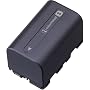 Sony NPFS22 S Series InfoLithium Battery for DCRPC1/5