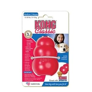 Kong Classic Dog Toy