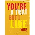 You're A Twat