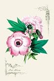 Art Poster, Pink Hibiscus - 20x30