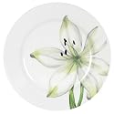 Corelle Lifestyles White Flower  8-1/2-Inch Luncheon Plate