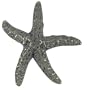 Atlas Homewares 142-V 2-Inch Starfish Knob, Verdigris