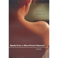 Sparks from a Nine-Pound Hammer: Poems (Southern Messenger Poets)