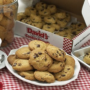 Gourmet Pre-formed Chocolate Chunk Cookie Dough by David