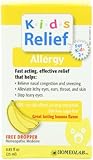Kids Relief Allergy Oral Solution, .85-Ounce Bottle (Pack of 2)