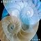 Liquid Mind (Chuck Wild)'s list of Music You Should Hear