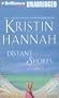 Distant Shores