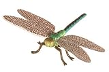 Dragonfly (Hidden Kingdom)