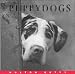 Puppydogs (Hulton Getty Picture Library)