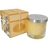 Orange Castelbel Scented Jar Candle, 35 Hour Burn Time