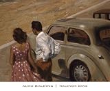 'Halcyon Days' by Aldo Balding - High Quality Fine Art Print (image size 61 cm W x 46 cm H)