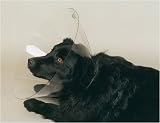 : Clear Collar - fits 7 in.-9 in.