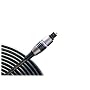 Monster Cable ILS200-4M Interlink LightSpeed 200 Highest Performance Digital Fiber-Optic Cable (4 m., Toslink-to-Toslink)