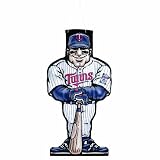 MLB Minnesota Twins Windjock