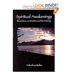 Spiritual Awakenings: Illuminations on Shabbat and the Holidays