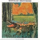 Fiyo On The Bayou